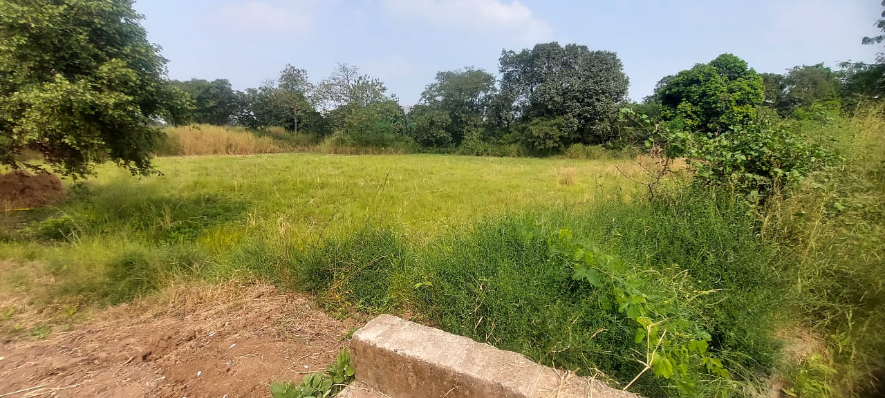 3 Guntha Plot For Panvel
